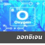ออกซิเจน เป็นสมาชิกของกลุ่ม chalcogen ในตารางธาตุ