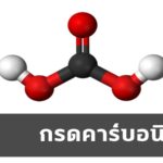 กรดคาร์บอนิก มีสูตรโมเลกุล H2CO3